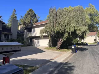 Photo #1: 240025290 Listing