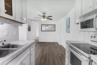 Photo #2: 240025616 Listing