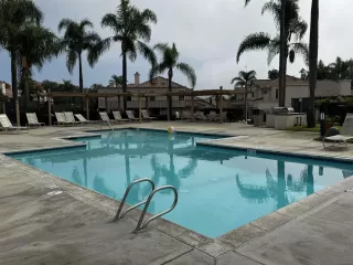 Photo #2: 240025680 Listing