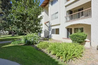 Photo #1: 240026148 Listing 