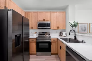 Photo #4: 240026258 Listing 