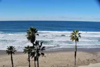 Photo #1: 240026361 Listing