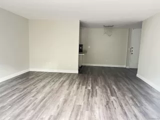 Photo #1: 240026479 Listing