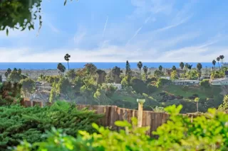 Photo #3: 240026730 Listing