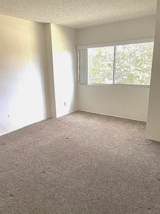 Photo #5: 240027103 Listing