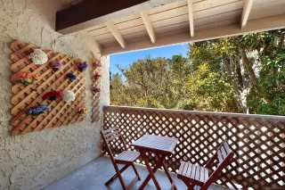 Photo #4: 240027474 Listing 