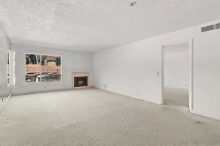 Photo #5: 240027650 Listing