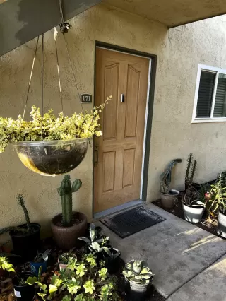 Photo #1: 240027678 Listing 