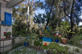 Photo #5: 240028184 Listing 