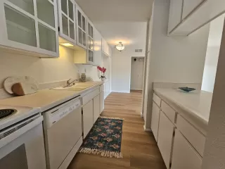 Photo #1: 240029050 Listing