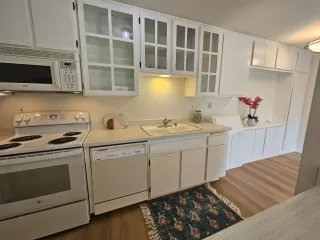 Photo #5: 240029050 Listing