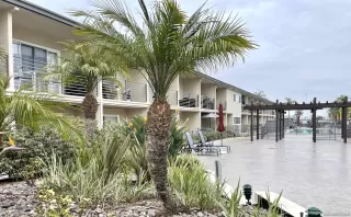 Photo #3: 250000136 Listing 