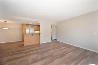 Photo #6: 250000143 Listing