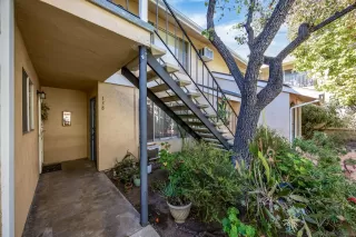 Photo #1: 250000164 Listing