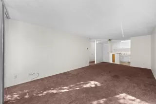 Photo #4: 250000327 Listing