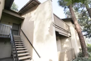 Photo #1: 250000600 Listing