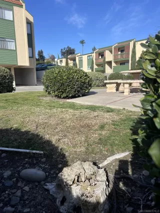 Photo #1: 250000626 Listing