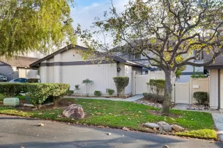 Photo #2: 250000627 Listing