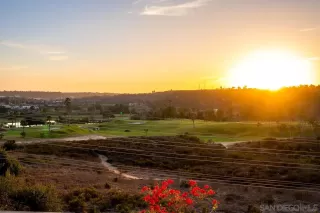 Photo #1: 250000802 Listing