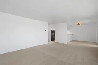 Photo #4: 250001102 Listing 