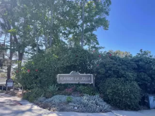 Photo #5: 250001111 Listing 