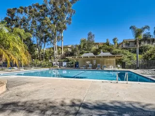 Photo #6: 250001111 Listing 