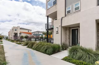 Photo #6: 250001144 Listing