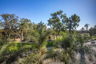 Photo #6: 250001152 Listing