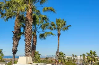 Photo #2: 250001186 Listing