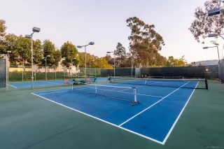 Photo #3: 250001306 Listing