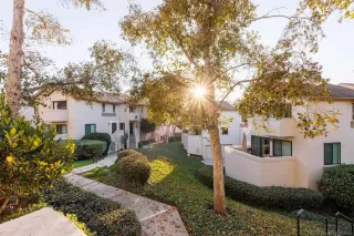 Photo #4: 250001306 Listing