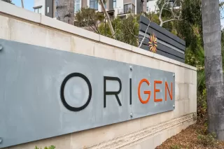 Photo #2: 250001521 Listing