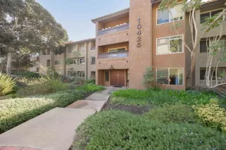 Photo #1: 250016802 Listing 