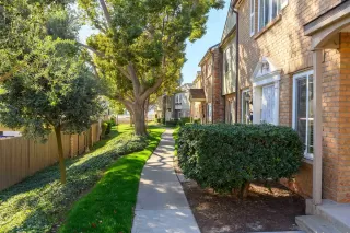 Photo #1: 250016854 Listing 