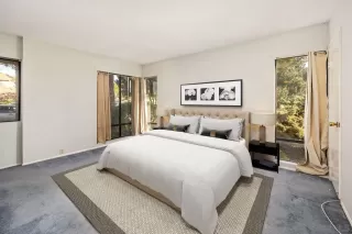 Photo #5: 250016979 Listing