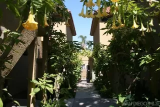 Photo #3: 250017240 Listing 