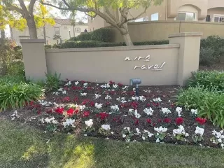 Photo #1: 250017283 Listing