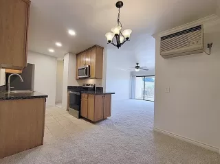 Photo #5: 250017373 Listing