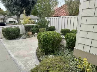 Photo #2: 250017392 Listing