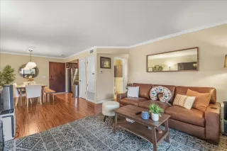 Photo #2: 250017677 Listing