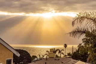 Photo #1: 250017722 Listing