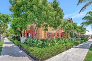 Photo #1: 250017780 Listing 