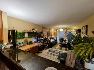 Photo #6: 250017819 Listing 