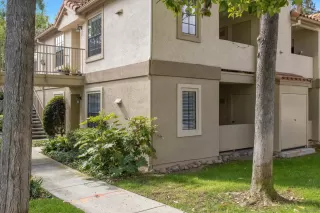 Photo #1: 250017869 Listing 