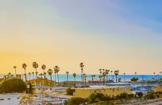 Photo #2: 250017895 Listing