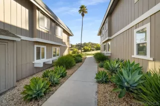 Photo #1: 250017903 Listing