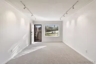 Photo #6: 250017903 Listing