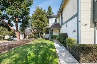 Photo #6: 250017962 Listing