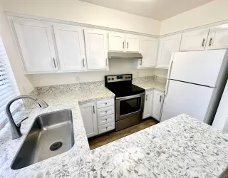 Photo #1: 250018129 Listing 