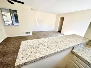 Photo #3: 250018129 Listing 